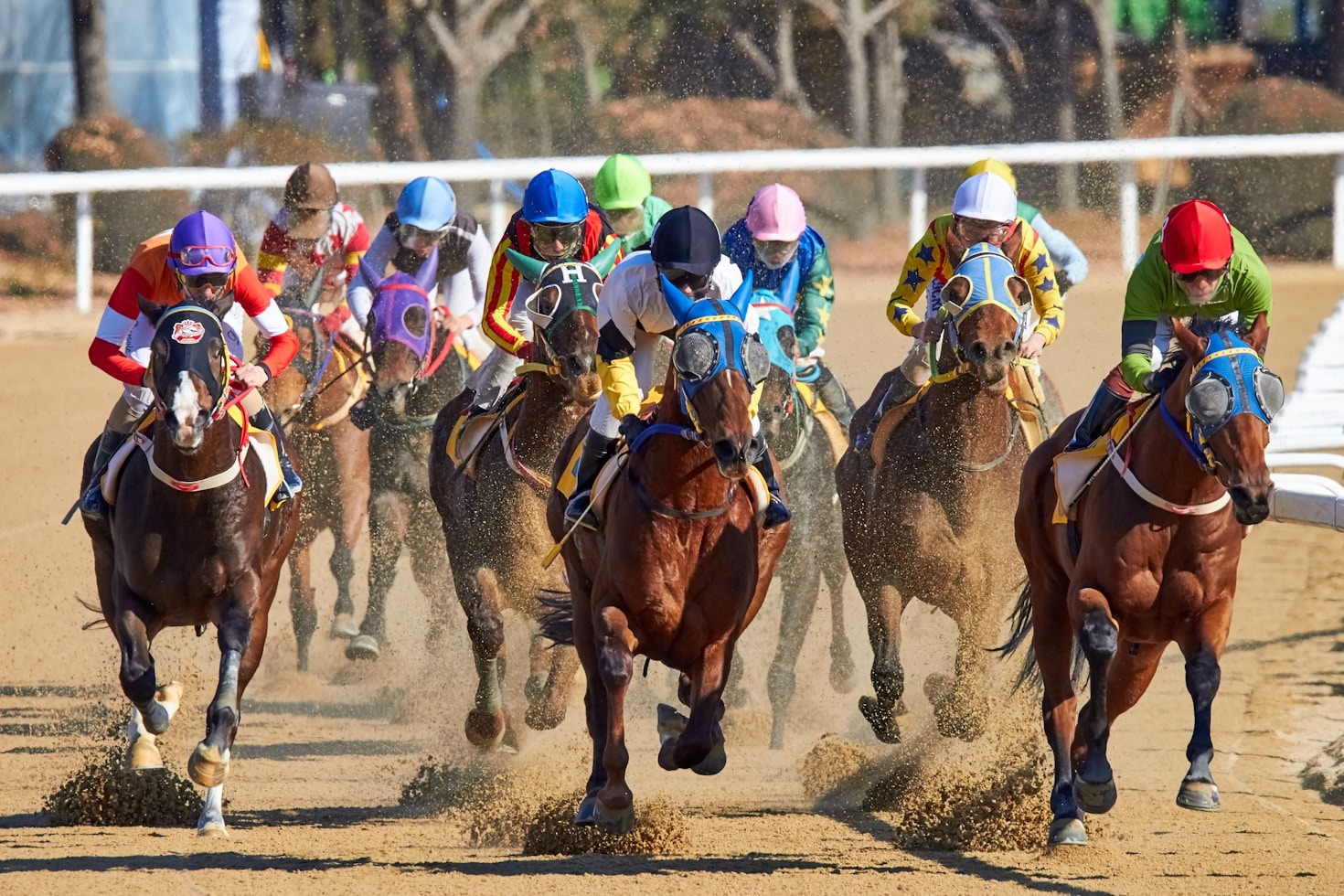 Beginner’s Guide to Effective Horse Racing Bets